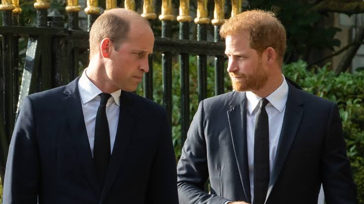 Prince Harry Shares Interesting Insight into Relationship with Prince William